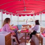 Pink Private Boat Cruise in San Diego! Bachelorette Birthday - The Route and What You’ll See