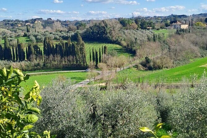 Pisa Tour and Wine Tasting on the Pisan Hills - Authentic Experiences & Real Traveler Insights