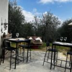 Pisa: Winery Tour and Wine Tasting with Local Food Pairing - Why This Tour Offers Good Value