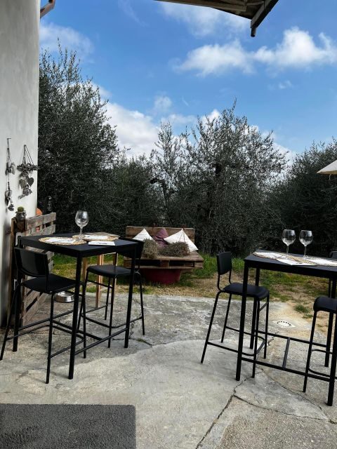 Pisa: Winery Tour and Wine Tasting with Local Food Pairing - Why This Tour Offers Good Value