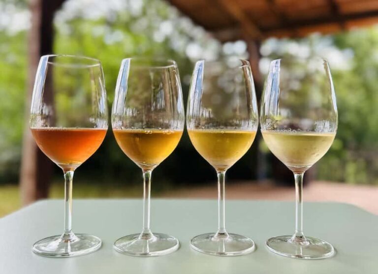 Pitigliano: Ciliegiolo Grape Wine Tasting - What Sets This Tour Apart?