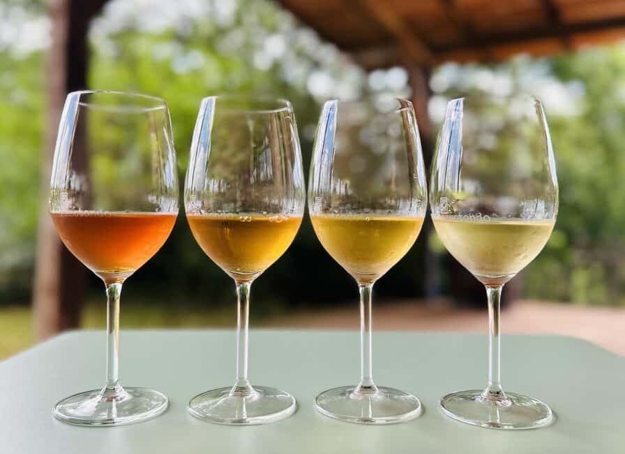 Pitigliano: Ciliegiolo Grape Wine Tasting - What Sets This Tour Apart?