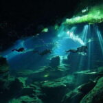 Playa del Carmen: Explore the Surreal World of Cenote Diving - Exploring the Cenotes: Each Stop Offers Unique Wonders