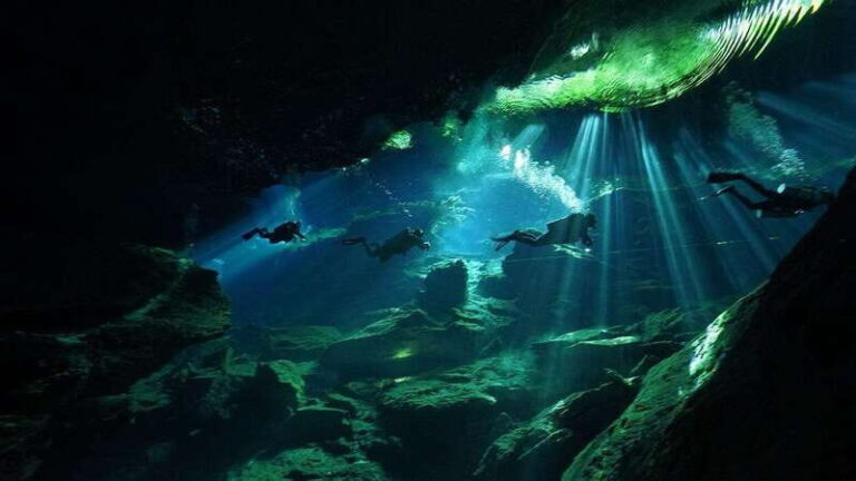 Playa del Carmen: Explore the Surreal World of Cenote Diving - Exploring the Cenotes: Each Stop Offers Unique Wonders