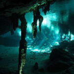 Playa del Carmen: High-Octane Cenote Diving Combo - A Day in the Life of the Tour
