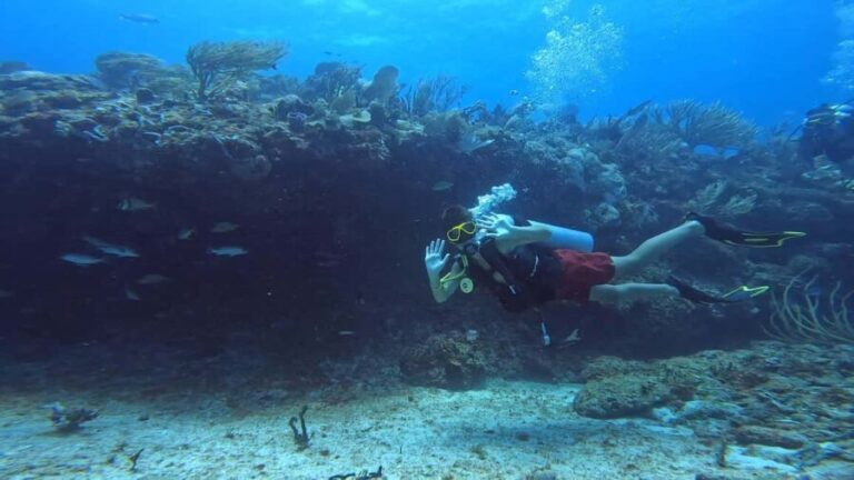 Playa del Carmen: Introductory Scuba Diving at Coral Reefs - Who Should Consider This Tour?