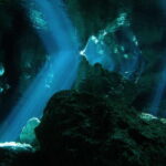 Playa del Carmen: Mind-Blowing Diving at Cenote Dos Ojos - Who Should Consider This Tour?
