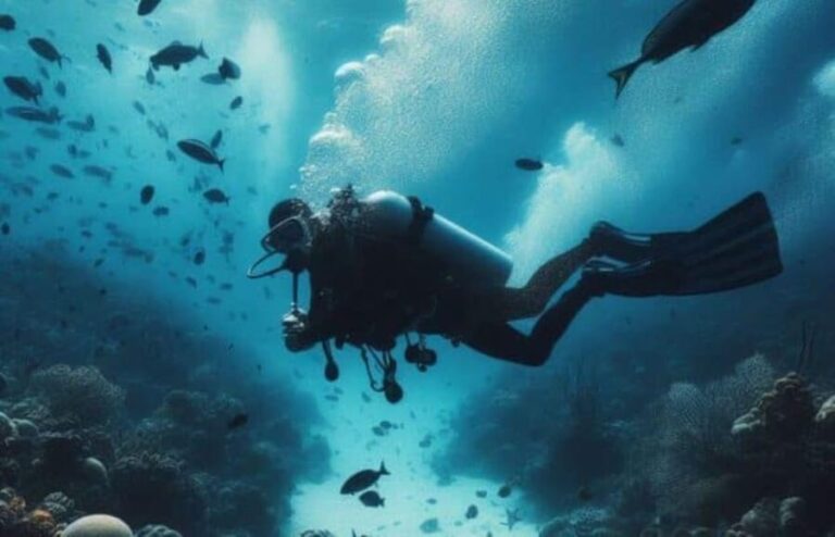 Playa del Carmen: Scuba Diving for certified divers - The Sum Up