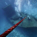 Playa del Carmen: Wreck Dive Mama Viña - Who Will Appreciate This Tour?