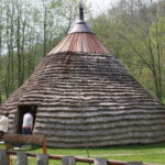 Podgorica: Biogradska Gora, Moraca and Kolasin Day Tour - Practical Details and What to Expect