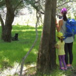 Podgorica Historic, Safari and Winery tour - Skadar lake - What to Expect: Practical Details