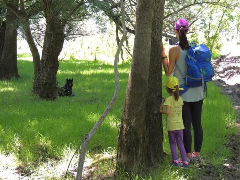 Podgorica Historic, Safari and Winery tour - Skadar lake - What to Expect: Practical Details