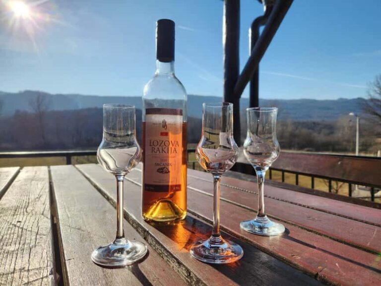 Podgorica: Panoramic Wine Tasting & Snack - Accessibility and Practical Details