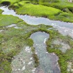 Point Loma Tide Pool Tour - Final Thoughts: Who Should Book This Tour?