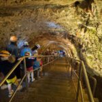 Polignano: Half-Day Tour to Castellana Caves with Transfer - The Transport and Logistics