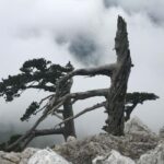 Pollino Hiking - day trips in the Pollino National Park - Detailed Breakdown of the Itinerary