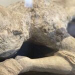 Pompeii: Guided Tour with Archaeologist with max. 12 People - An In-Depth Look at the Pompeii Guided Tour