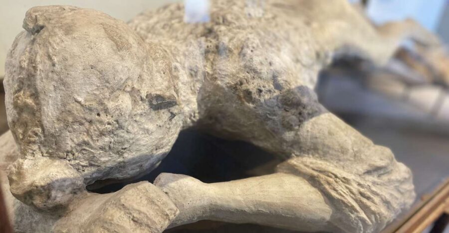 Pompeii: Guided Tour with Archaeologist with max. 12 People - An In-Depth Look at the Pompeii Guided Tour