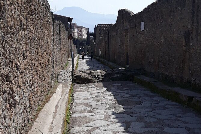 Pompeii: Private Day Tour from Naples - Who Would Love This Tour?