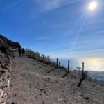 Pompeii & Vesuvius & Lunch from Positano All Inclusive - What Reviews Reveal About the Experience