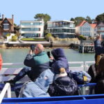 Poole: Harbour and Islands Circular Cruise - What to Expect from the Circular Cruise