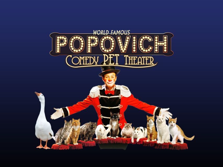 Popovich Comedy Pet Theater in Las Vegas - What to Expect from the Popovich Comedy Pet Theater Experience