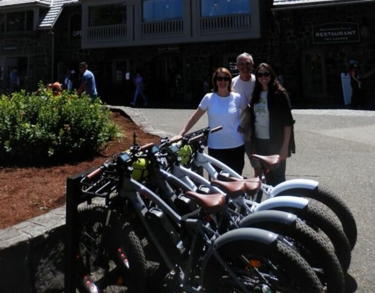 Portland: E-Bike Tour at Multnomah Falls - The Waterfalls & Highlights