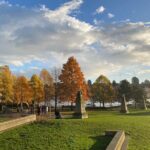 Post Cruise Vancouver Private Car Tour - Exploring Vancouver’s Top Highlights