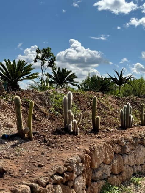 Pozzo Faceto: botanical garden - Why It’s a Value-Adding Experience