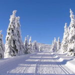 Prague: Day trip to Krkonoe Mountains - Lunch at Mountain Hut Luní Bouda