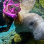 Pre-Season Special Manatee Snorkel Tour in Crystal River - The Journey to Encountering Manatees