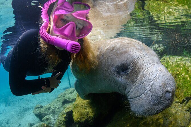 Pre-Season Special Manatee Snorkel Tour in Crystal River - The Journey to Encountering Manatees