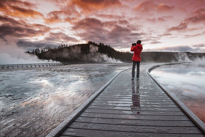 Predators of the Wild, Bear and Wolf Watching Adventure - Frequently Asked Questions