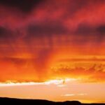 Premier Wildlife Tours in Saguaro National Park - Practical Details and Considerations