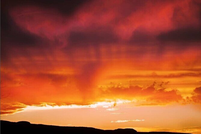 Premier Wildlife Tours in Saguaro National Park - Practical Details and Considerations