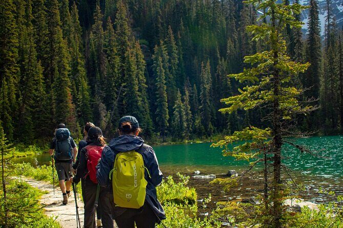 Premium Guided Hiking tours in Banff, Yoho & Kootenay - Who Will Love This Experience?