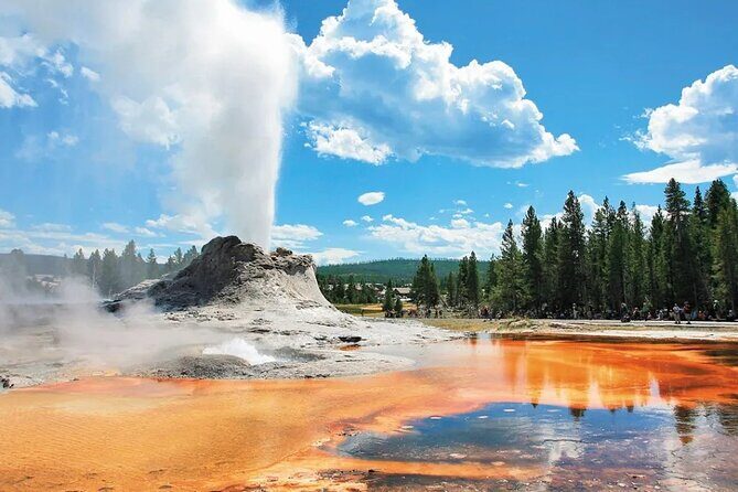 Premium Small Group SLC, Yellowstone National Park 6-Day Tour - Day 2: Entering Yellowstone’s Geothermal Wonderland