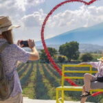 Premium Tequila Route with professional tasting - An In-Depth Look at the Tour Experience