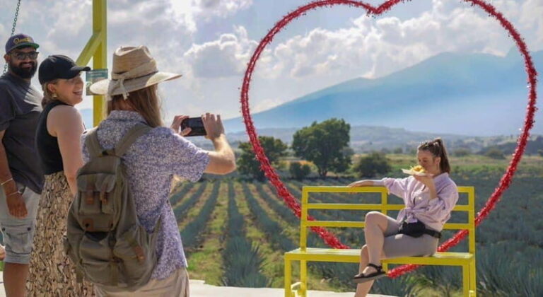 Premium Tequila Route with professional tasting - An In-Depth Look at the Tour Experience