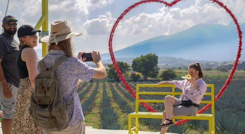 Premium Tequila Route with professional tasting - An In-Depth Look at the Tour Experience