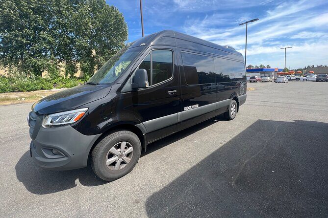 Premium Transfer From Seattle to SEATAC Airport(or Reverse Trip) - The Vehicle and Comfort