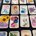 Pressed Flower Art Workshop - An In-Depth Look at the Pressed Flower Art Workshop