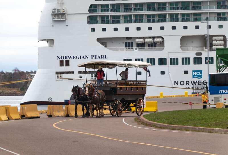 Prince Edward Island: Horse-Drawn Carriage Tour - The Experience: What to Expect