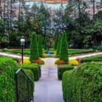 Princeton in a Day: Ivy League Town Ride from NYC - What to Expect from the Tour Experience