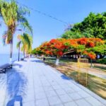 Privado: Rancho Vicente Fdez, Ajijic, Chapala y Tlaquepaque - Practical Details and What You Get for $93