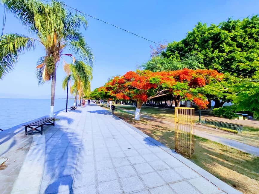 Privado: Rancho Vicente Fdez, Ajijic, Chapala y Tlaquepaque - Practical Details and What You Get for $93