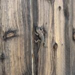 Private 1 Day Tour to Joshua Tree National Park - Who Will Love This Tour?