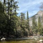 Private 2 Days Tour to Yosemite National Park - Transportation and Logistics