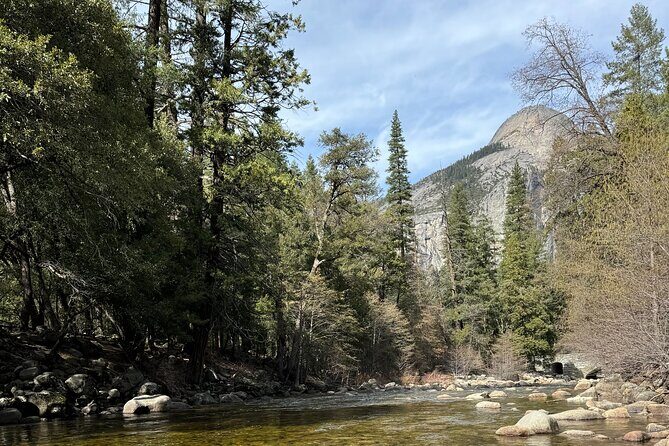 Private 2 Days Tour to Yosemite National Park - Transportation and Logistics