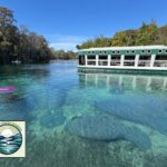 Private 2Hour Clear Kayak/ROC Paddle Board Rental on Silver River - The Sum Up